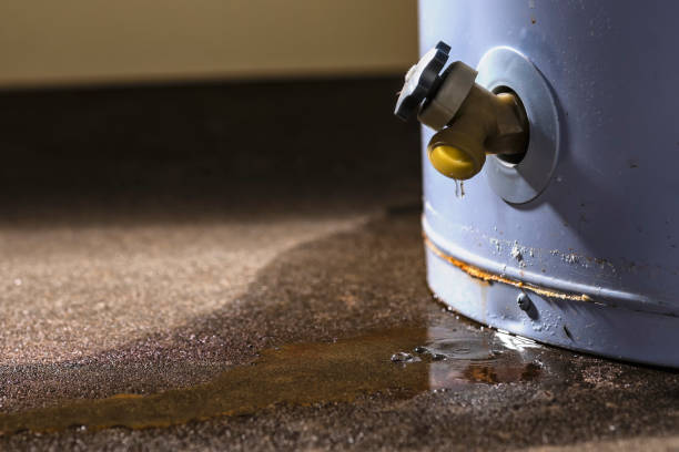 Best Mold removal after water damage  in Gillett, WI