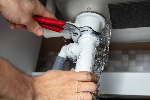 Best Carpet water damage restoration  in Gillett, WI