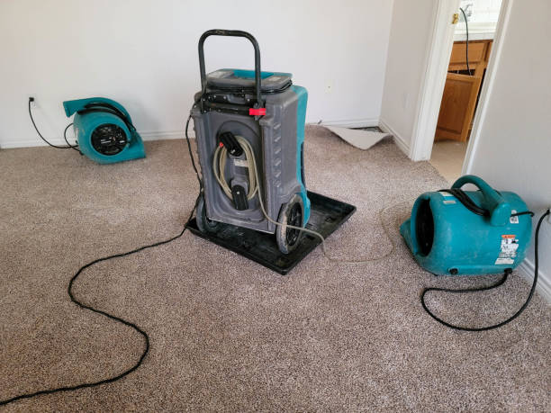 Best Residential water damage restoration  in Gillett, WI