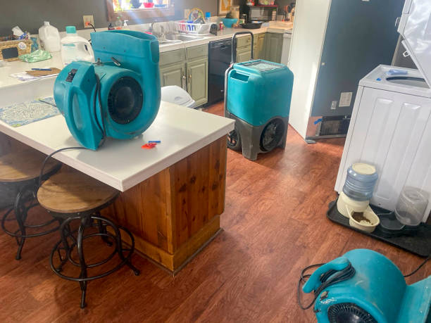 Best 24-hour water damage restoration  in Gillett, WI