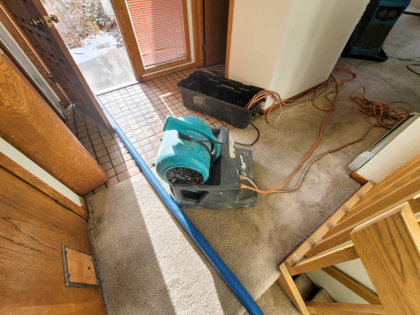 Best Water damage cleanup near me  in Gillett, WI