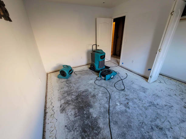 Best Water damage restoration specialists  in Gillett, WI