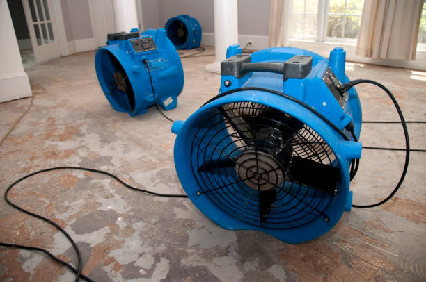 Best Flooded house restoration  in Gillett, WI