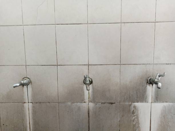  Gillett, WI Water damage restoration Pros