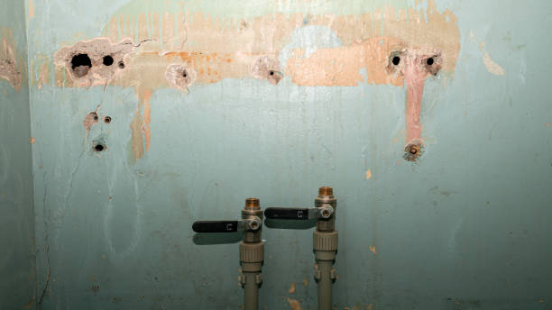 Best 24/7 water damage repair  in Gillett, WI