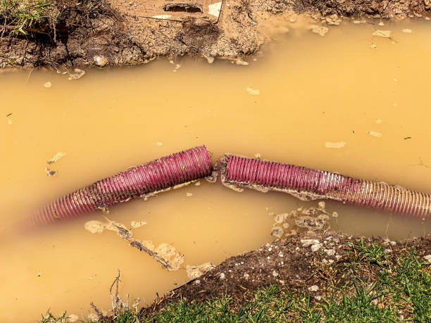 Water damage restoration process in WI