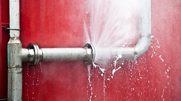 Best Water damage restoration process  in Gillett, WI
