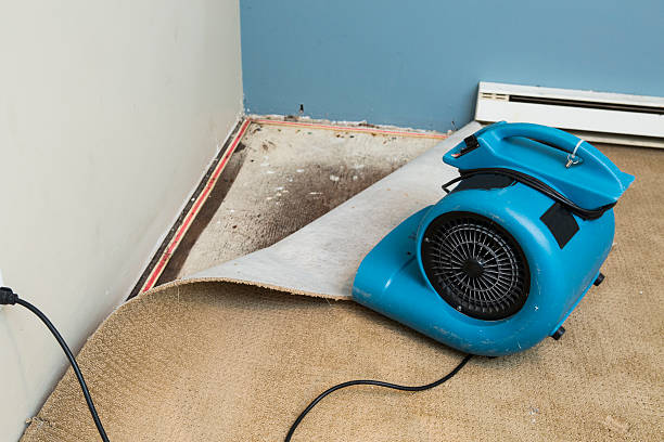 Best Water damage restoration insurance claims  in Gillett, WI
